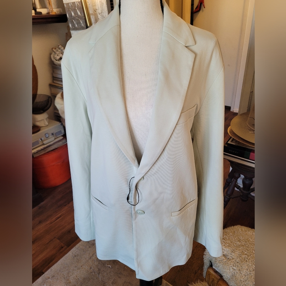 NWT Zara Light Green Blazer & Pants Set